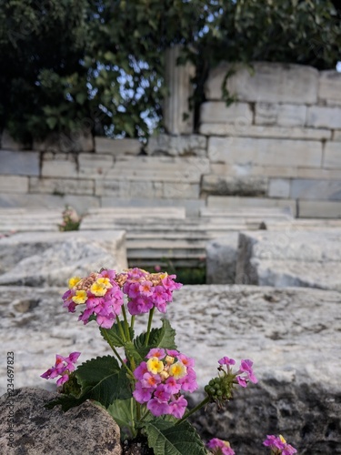 Area archeologica
