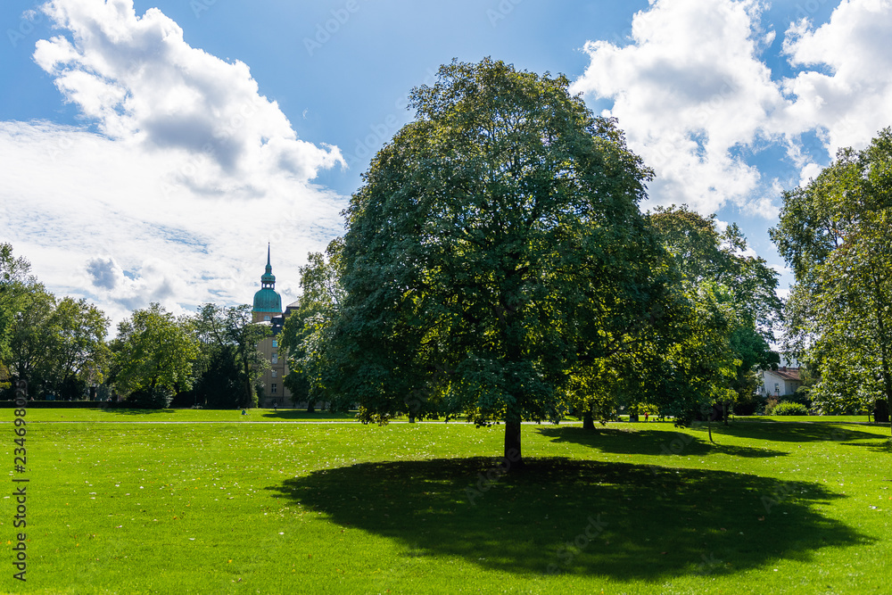 Fototapeta premium Licht und Schatten im Herrngarten