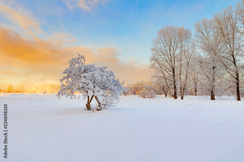 Naklejka premium Winter landscape. Cold day.