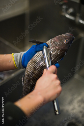 Person scaling a black bass fish