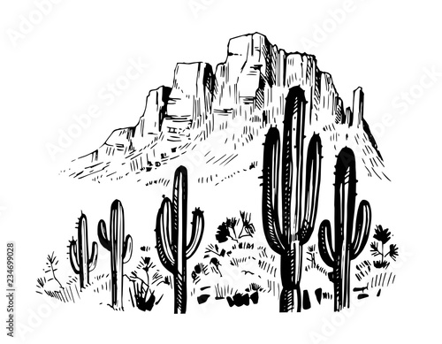Sketch of the desert of America