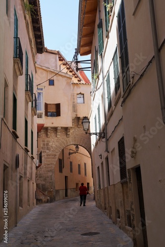 Fototapeta Naklejka Na Ścianę i Meble -  mallorca,palma