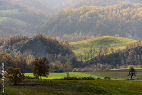 borgo di fortunago photo