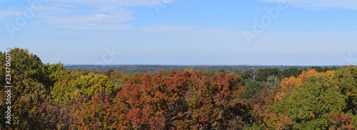 Panorama of the tree city of Oxford Mississippi from the University of Mississippi