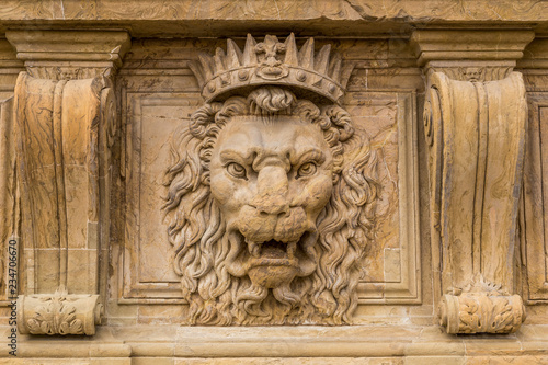 Close up lion stucco at Palazzo Pitti, the old palace of Medici family in Florence photo