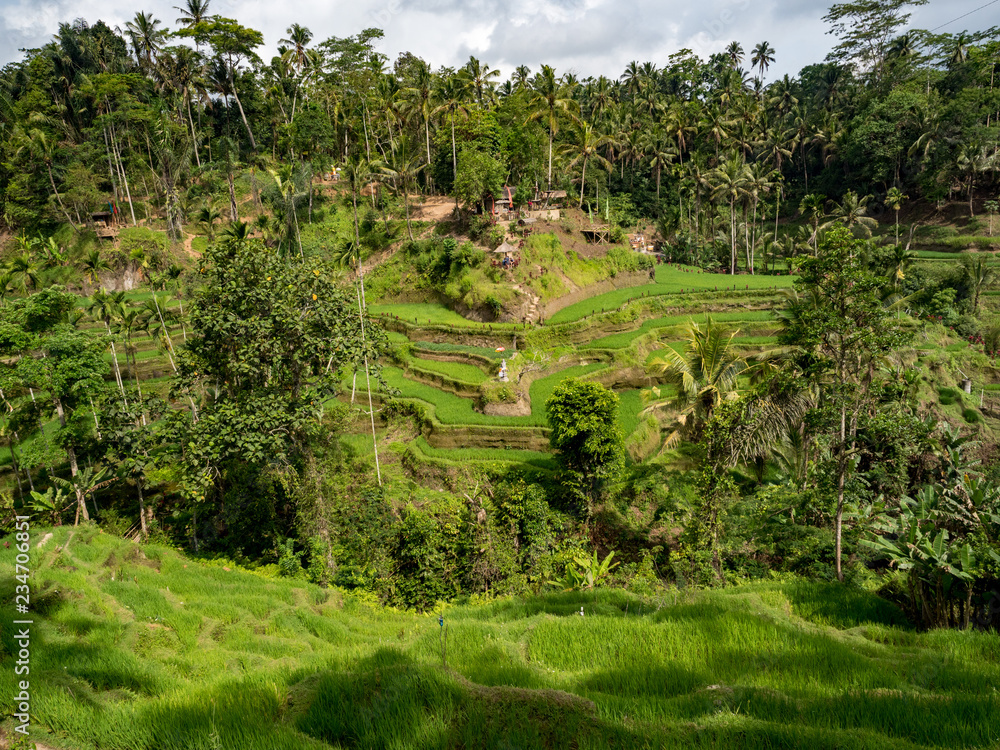 Amazing green cascade rice field plantation at Tegalalang terrace. Bali, Indonesia. November, 2018