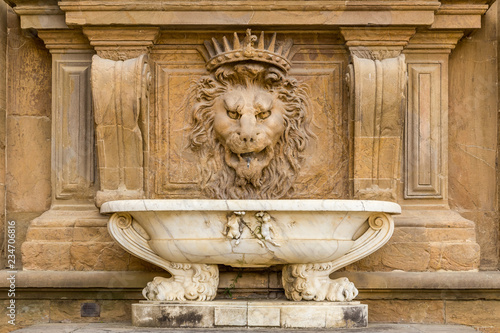 Close up lion stucco at Palazzo Pitti, the old palace of Medici family in Florence photo