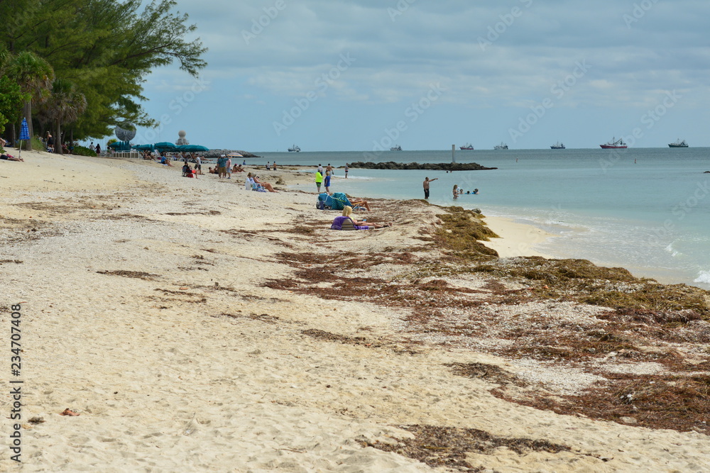 beach,sea,water,nature,landscape,sand,winter,coast,view,blue,tourism,seaside,people,vacation,holiday,sunny,horizon,shore,bay,seaweed,rocks,travel ocean,swimmers distance,Florida,sea view,sand prints,K beach,sea,water,nature,landscape,sand,winter,coast,view,blue,tourism,seaside,people,vacation,holiday,sunny,horizon,shore,bay,seaweed,rocks,travel ocean,swimmers distance,Florida,sea view,sand prints,K