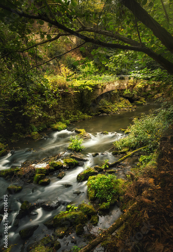 Brücke in der Natur / Fluss (Urwald in Sachsen) - Langzeitbelichtung