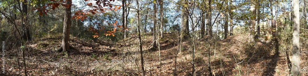 Civil War Earthworks at Tallahatchie Crossing in Mississippi