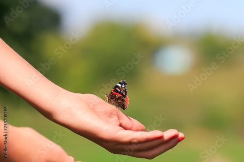 beautiful butterfly Admiral crawling on girl's hand in spring Park about to fly away