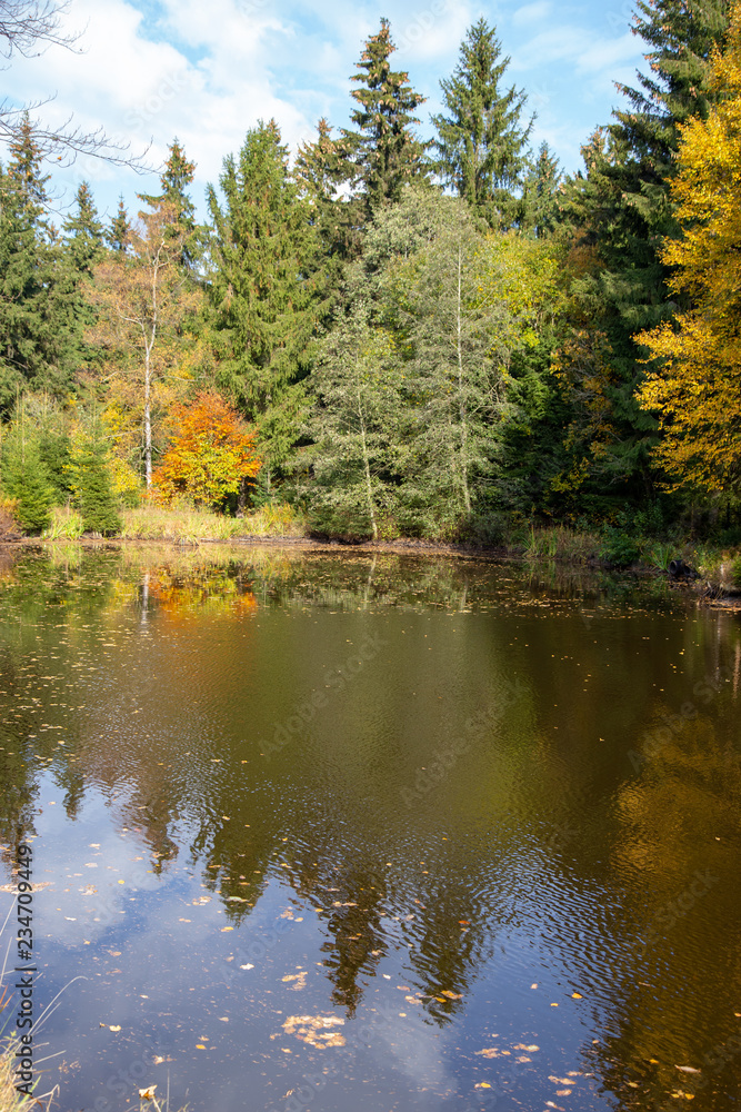 a little lake in a forest in autumn a little lake in a forest in autumn