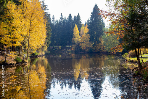 Fototapeta Naklejka Na Ścianę i Meble -  a little lake in a forest in autumn