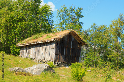 Old wooden barn with grass on the roof in Norway © ukrolenochka