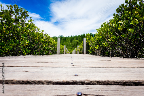 Landscapes photo Tungprongthong,mangrove forest located at rayong thailand,cloud blue sky photo