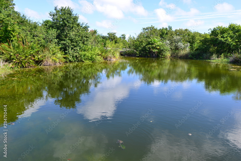 A pond at the Florida Keys in Florida.