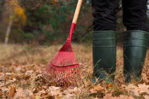 Wallpaper Mural A man gardener rakes autumn leaves in the garden. Rake close up. Autumn work in the garden. Concept autumn, yellow leaves, autumn mood. Copy space. Torontodigital.ca