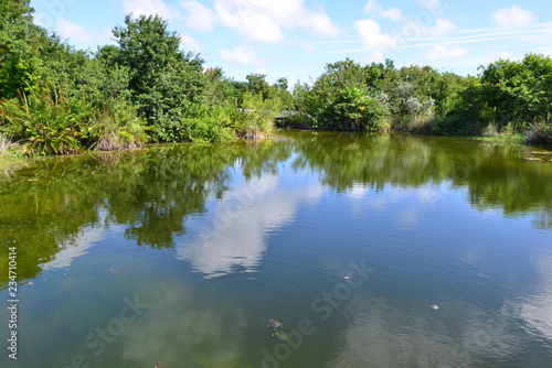 A pond at the Florida Keys in Florida.