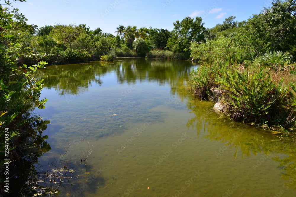 A pond at the Florida Keys in Florida. A pond at the Florida Keys in Florida.