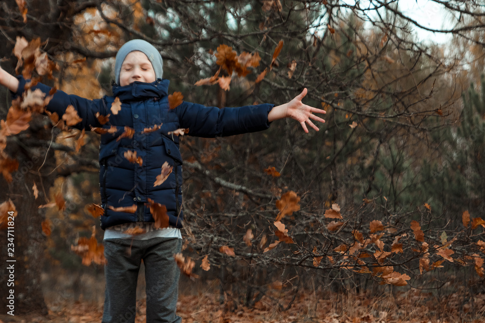 A pile of autumn, yellow foliage, a child, a boy playing with foliage in a park, throws up leaves. Concept autumn, yellow leaves, autumn mood. Copy space.