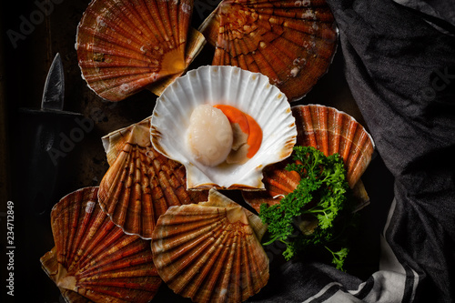 Scallops in the sink. Photo of fresh seafood in a low key.