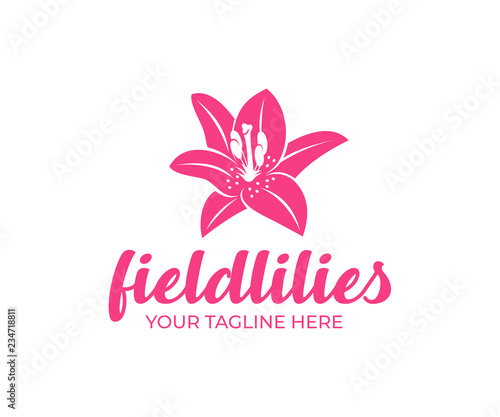 Fototapeta Naklejka Na Ścianę i Meble -  Field lily, flower, fashion, spa and beauty salon, logo design. Nature, plant, bloom and flora, vector design and illustration