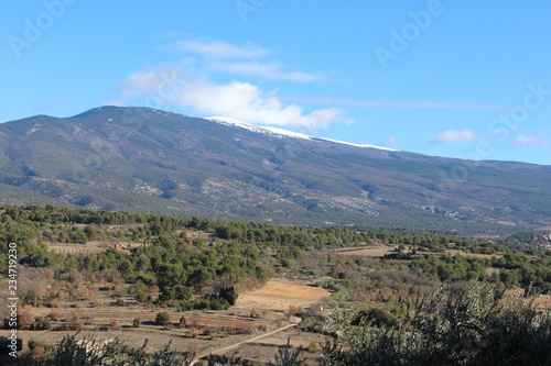 VILLAGE TYPIQUE DE CRILLON LE BRAVE - VAUCLUSE - PROVENCE photo