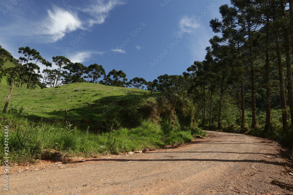 Fototapeta premium road in the mountains