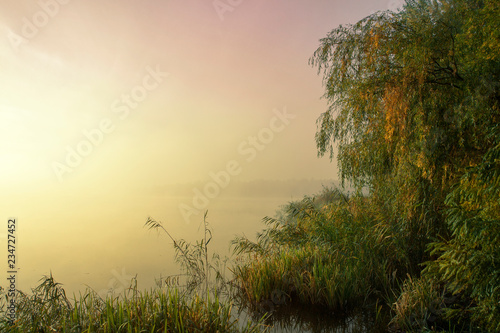 Misty morning on the lake. Dawn in the fog. Forest reflected in the calm water. Calm autumn landscape. © Nataly