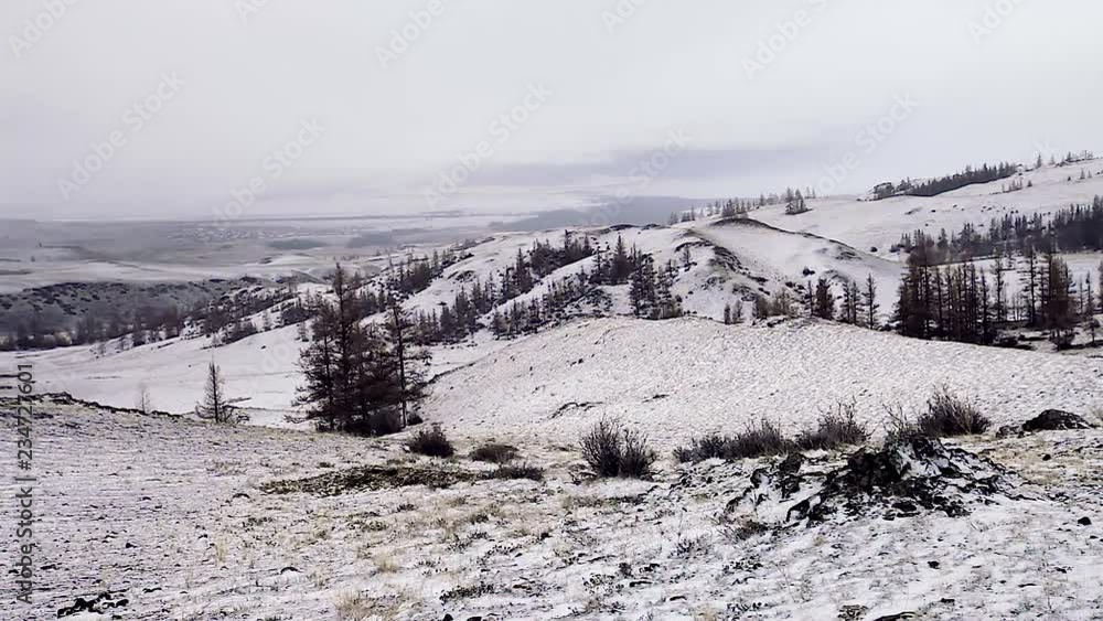 winter mountain landscape snow winter forest in the evening light winter mountain landscape snow winter forest in the evening light