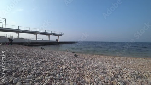 Panorama of the sea with birds photo