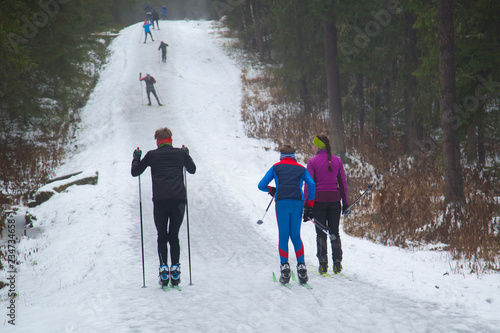 Cross Country Ski Race  photo