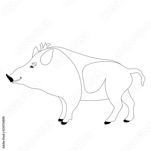  cartoon wild boar  vector illustration    lining draw  