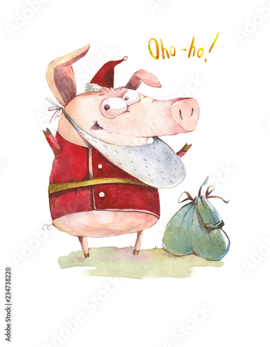 Mysterious pig Santa Claus