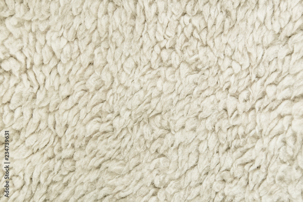 Sheep White Wool Background Texture Sheep White Wool Background Texture