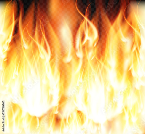 Burning Fire Special Light Effect Flames on Transparent Background. Vector Illustration