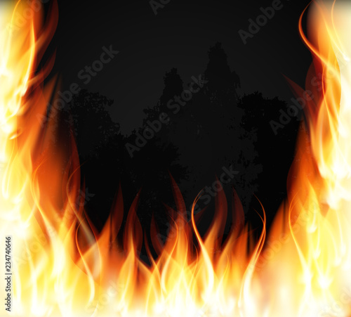 Trees on fire. Fire. Burning Fire Special Light Effect Flames. Vector Illustration