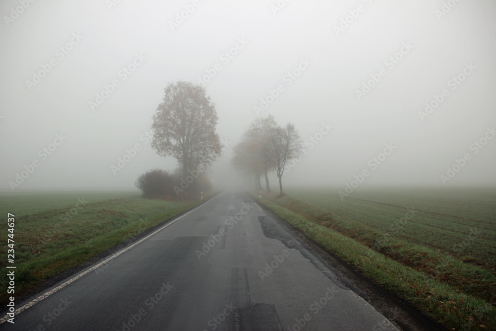 Nebel auf der Straße 