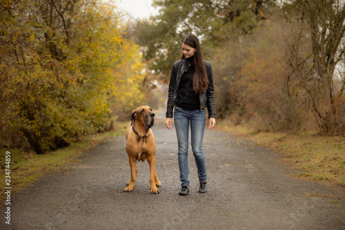 Yong woman with big dog Fila brasileiro breed in autumn park