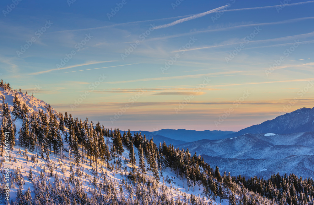 Φωτογραφία Alpine winter scenery with snowy coniferous forests on the slope of the Postavaru mountain at sunrise, Brasov county, Transylvania region, Romania