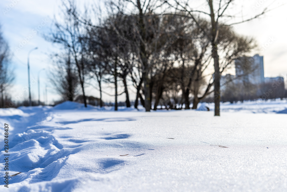 snow in the park