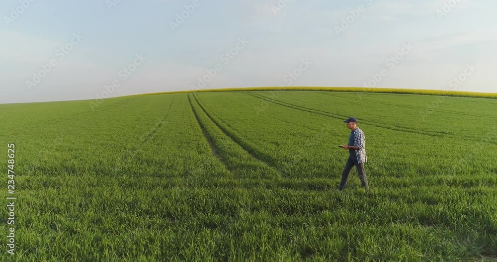 Agriculture, Male farmer walking on track over agricultural field while using digital tablet. Agriculture, Male farmer walking on track over agricultural field while using digital tablet.