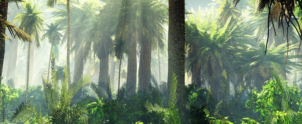 Naklejka premium Dżungla we mgle rano, palmy w mgle, renderowania 3d