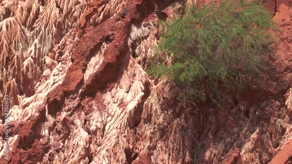 Madagascar. Red tsingy. Madagascar. Red tsingy.