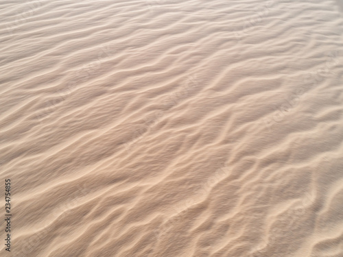 Beautiful dune of Parnaíba, Brazil. 