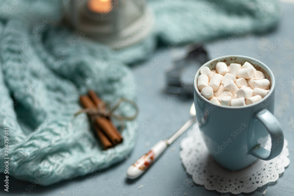 Hot drink. Cocoa chocolate with marshmallow. Winter concept Hot drink. Cocoa chocolate with marshmallow. Winter concept