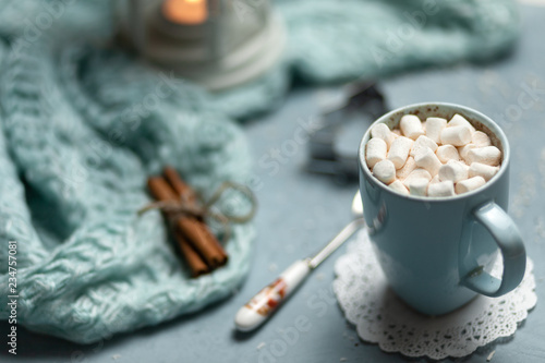 Hot drink. Cocoa chocolate with marshmallow. Winter concept