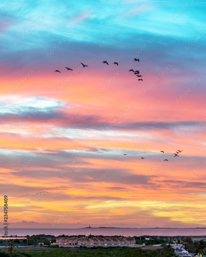 Birds in the sky at sunrise. La Manga. Spain 