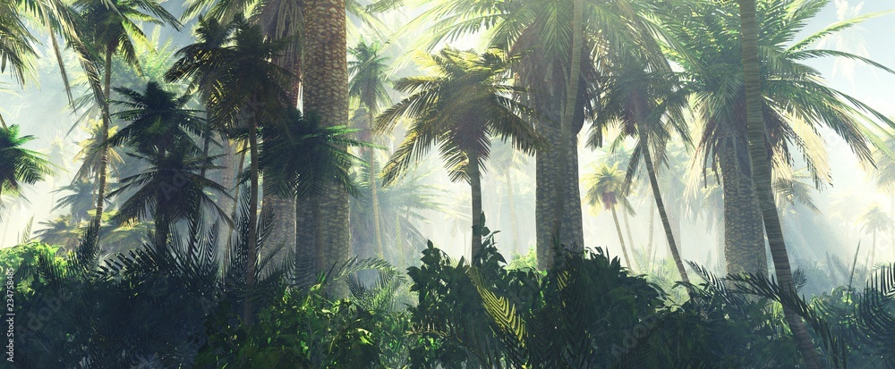 Fototapeta premium Dżungla we mgle rano, palmy w mgle, renderowania 3d