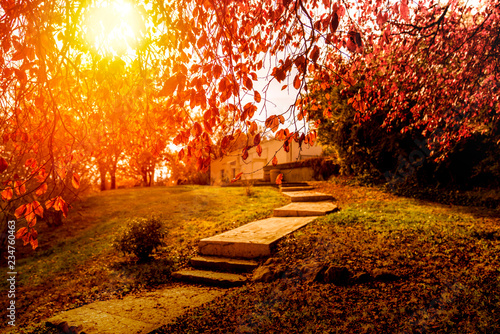 Concrete road (path, pathway, walkway) in the sunset in the garden of TBMM